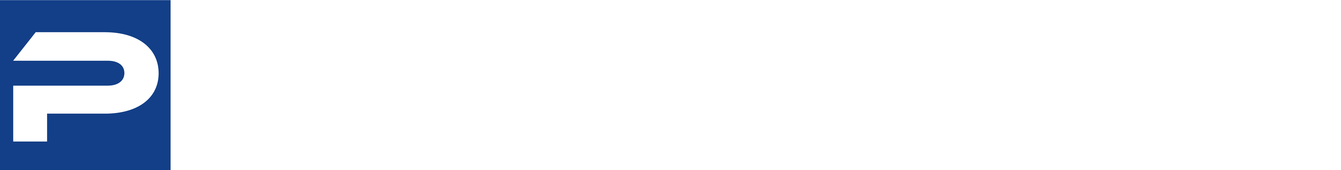 Platinum Environmental Solutions
